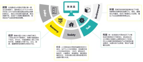 數字心智運營 把握時代機遇，論中國快消品企業D2C轉型趨勢及北京企業網站開發與運營